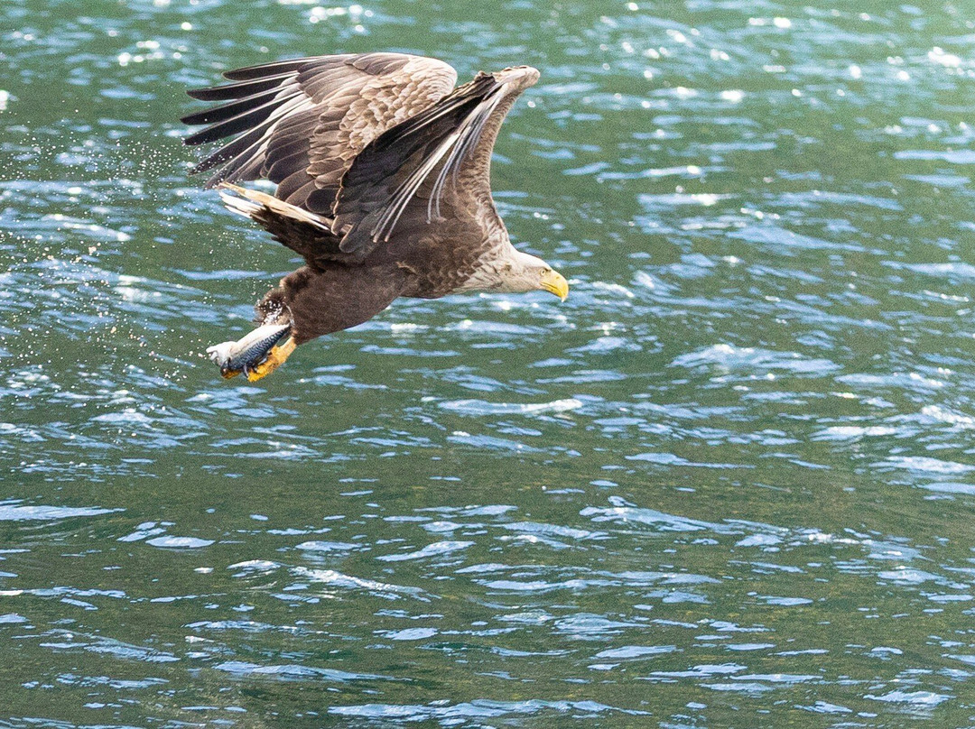 Stardust Boat Trips Portree-Portree必去景点