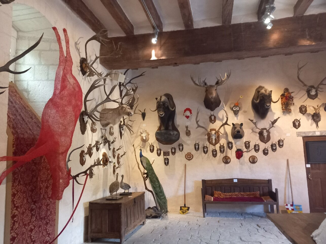 Hotel Chateau du Rivau主图