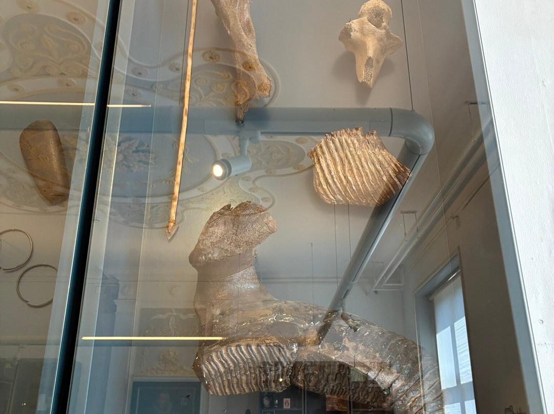 Museum De Casteelse Poort-瓦赫宁恩必去景点