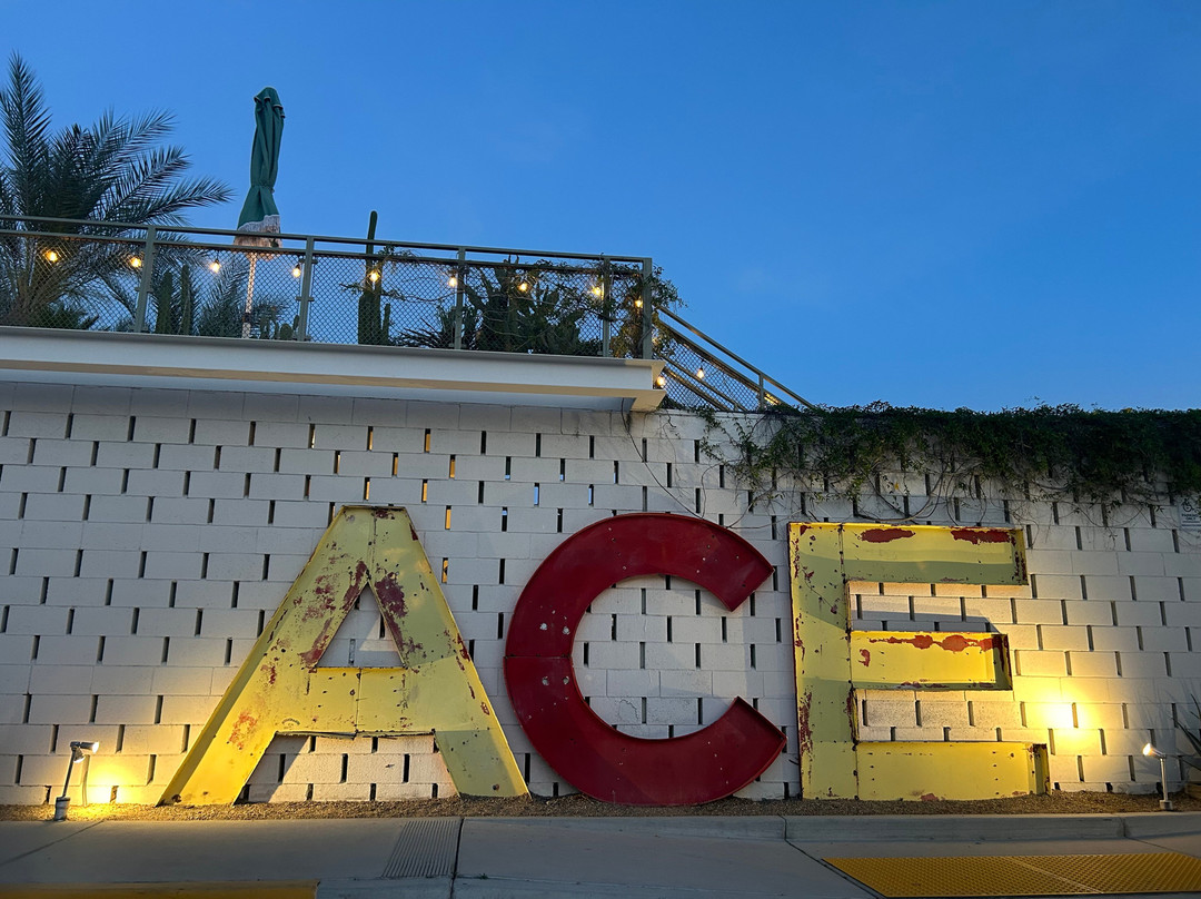 ACE酒店和棕榈泉游泳俱乐部主图