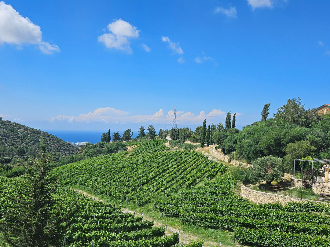 Etel Winery-克利尼亚必去景点