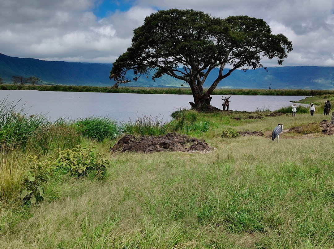 Ngorongoro Crater-恩戈罗恩戈罗保护区必去景点