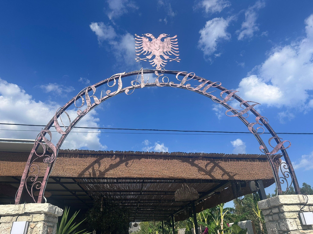 Porta E Shijes