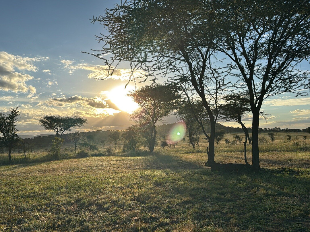 Tazama Africa Tours and Safari-阿鲁沙国家公园必去景点