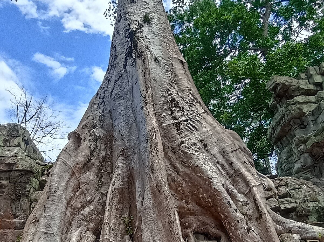 Angkor en Espanol-暹粒必去景点