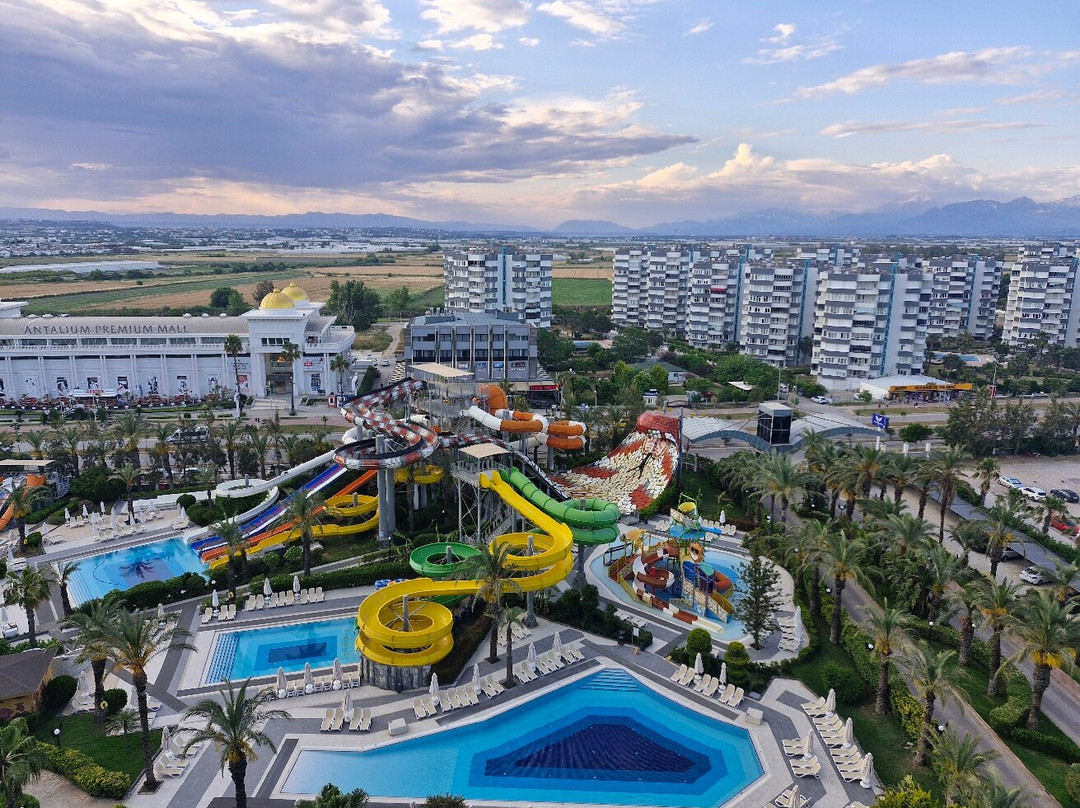 皇家翼酒店主图