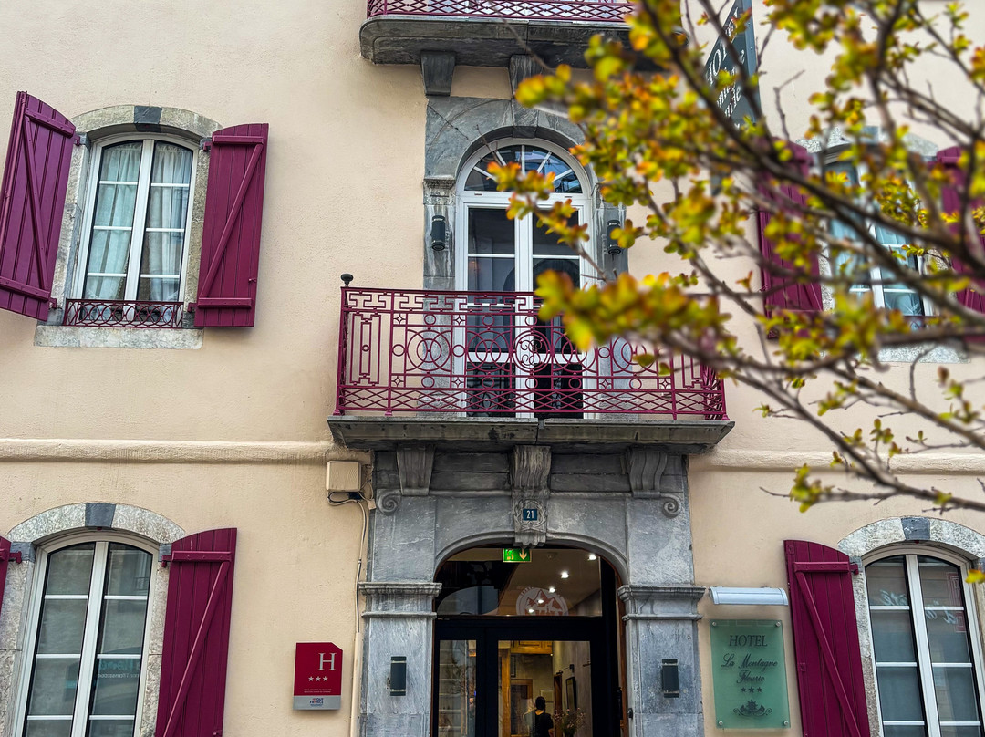 Hôtel la Montagne Fleurie主图