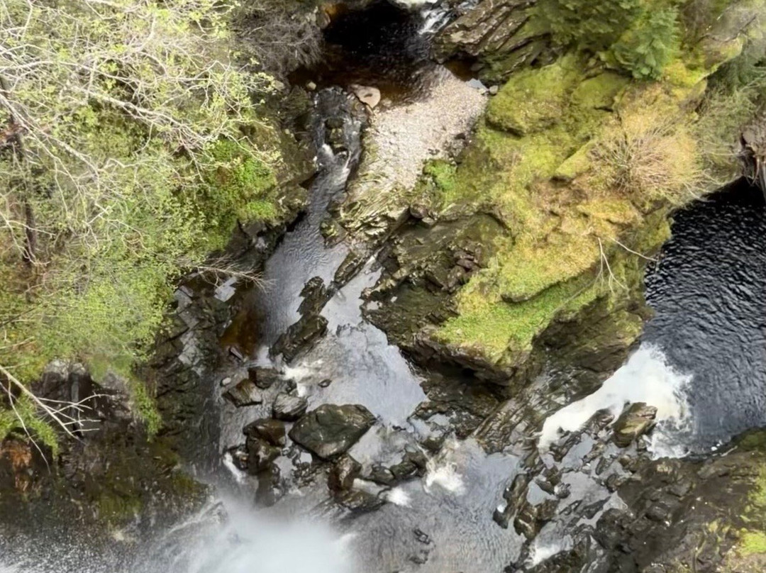 Glen Affric National Nature Reserve-Cannich必去景点