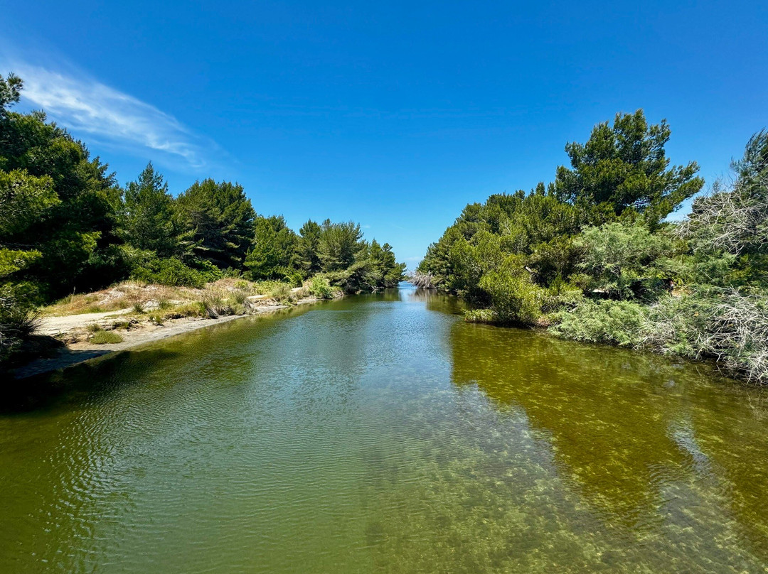 Laguna e Karavastasë-Divjake必去景点
