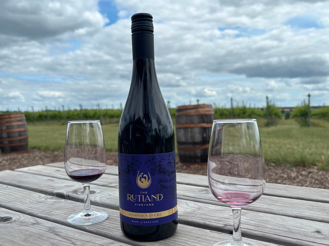 The Rutland Vineyard