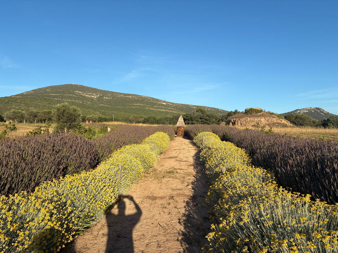 Bee Garden Alghero-阿尔盖罗必去景点