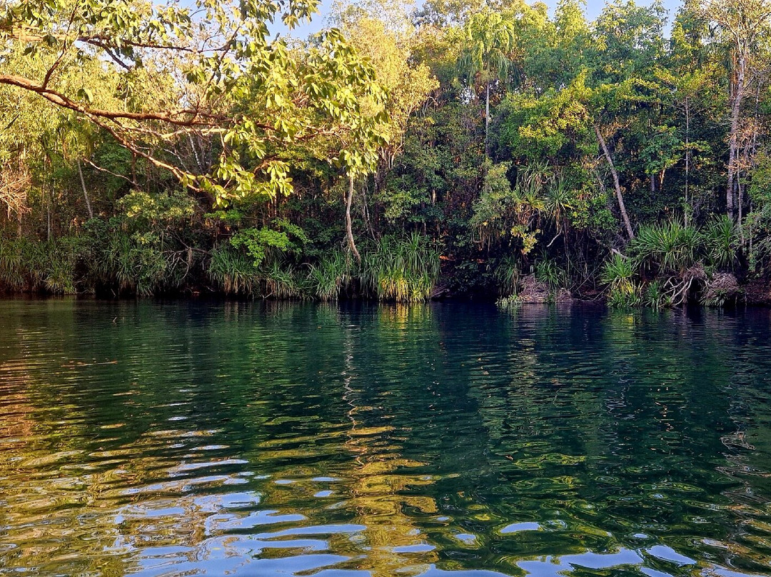 Berry Springs Nature Park-达尔文市必去景点