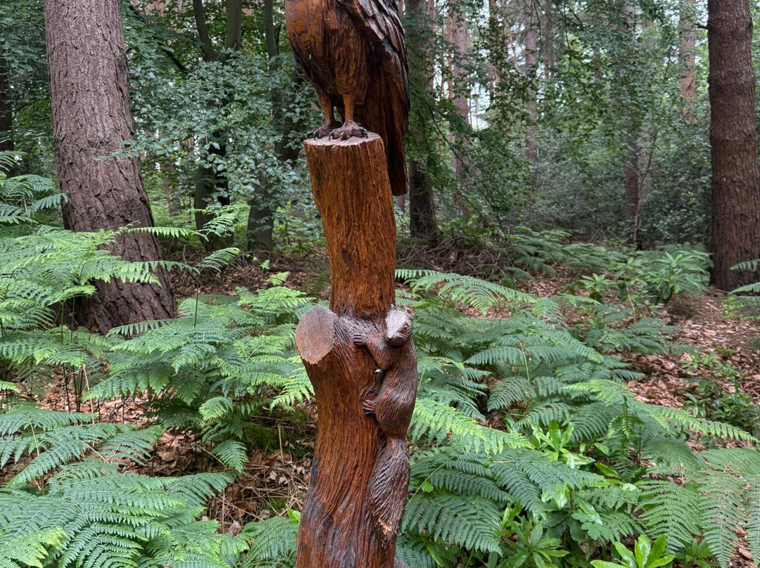 Holt Country Park-诺威奇必去景点