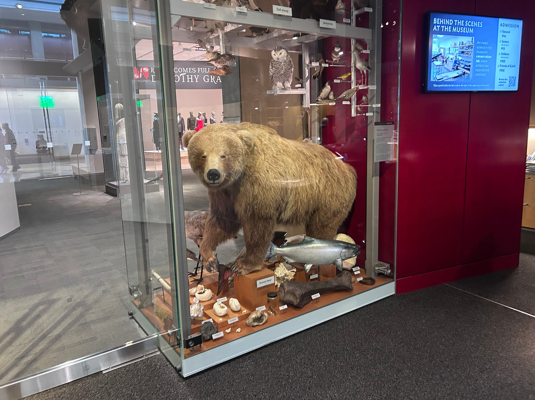 Alaska State Museum-朱诺必去景点