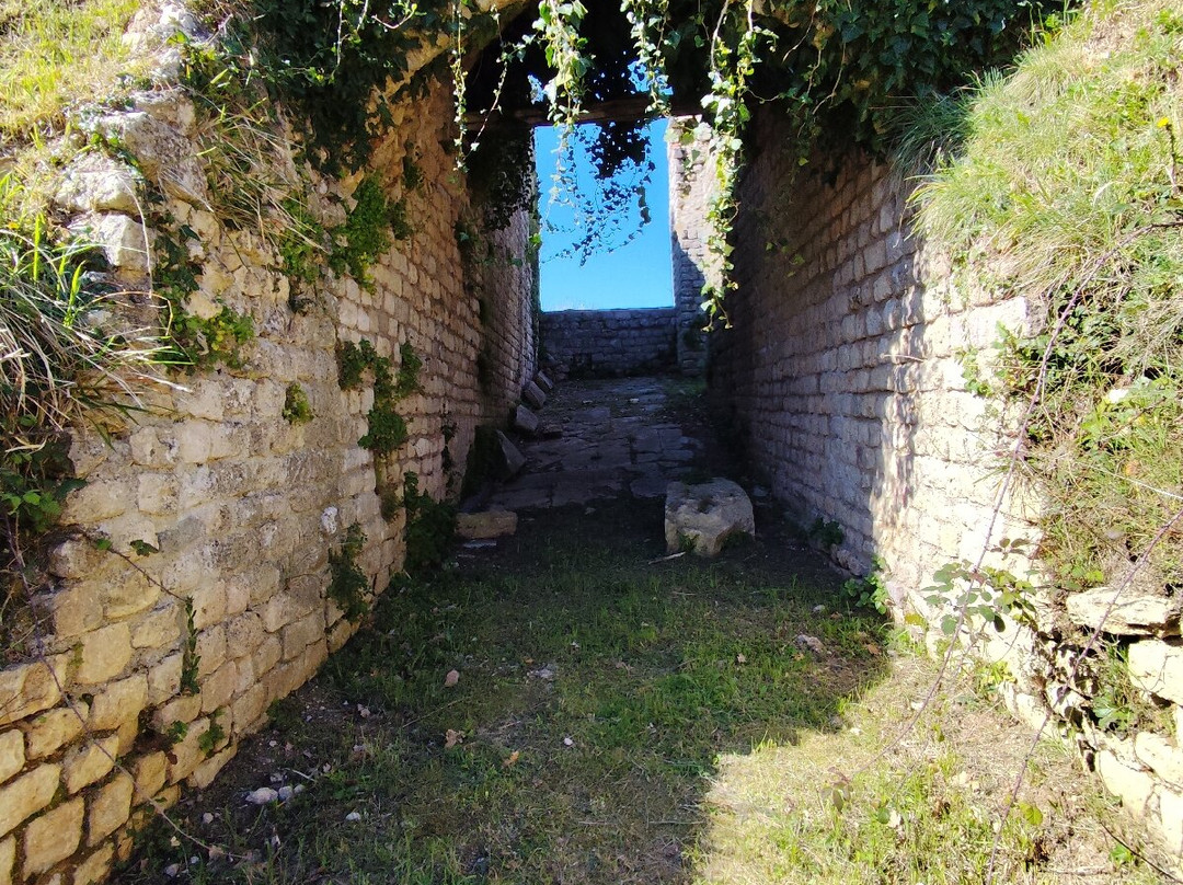 Carsulae - Parco Archeologico-特尔尼必去景点