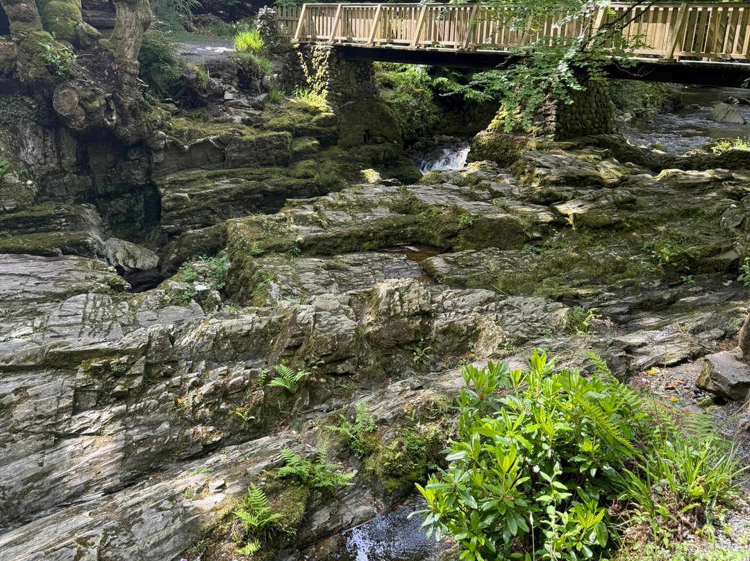 Tollymore Forest Park-纽卡斯尔必去景点