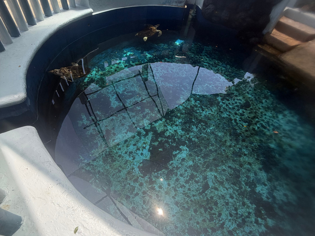 National Aquarium-圣多明哥必去景点