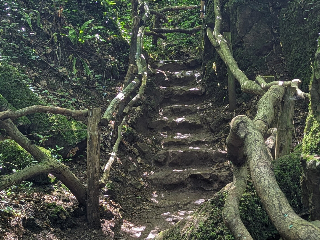 Puzzlewood-Coleford必去景点