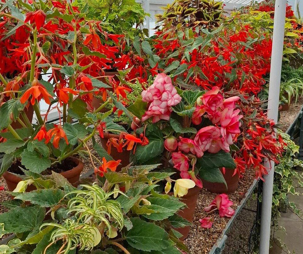 West Dean Gardens-奇切斯特必去景点