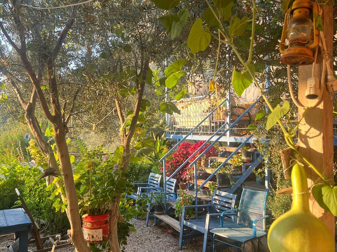 Lycian Way Trail-厄吕代尼兹必去景点