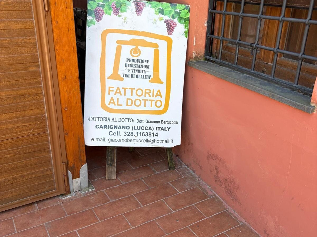 Fattoria Al Dotto-卢卡必去景点