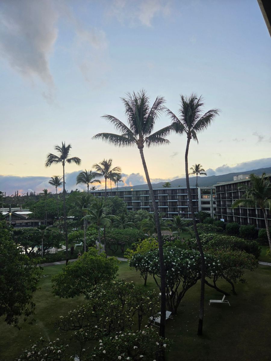 奥瑞格卡纳帕利海滩度假村-酒店景观