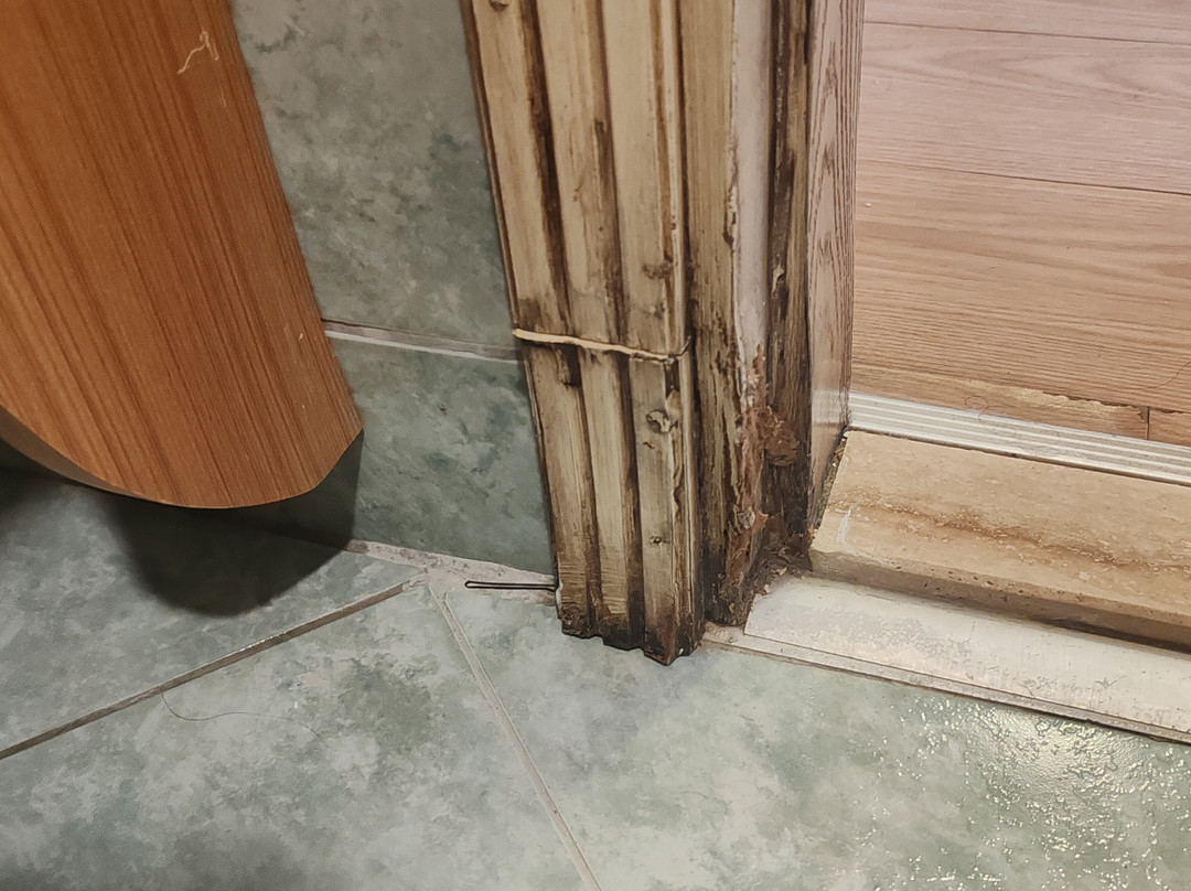 皇家阿萨里克 Spa 海滩酒店 - 全包式主图