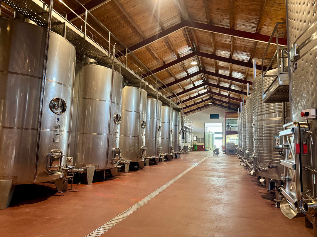 Bodegas Carchelo-Jumilla必去景点