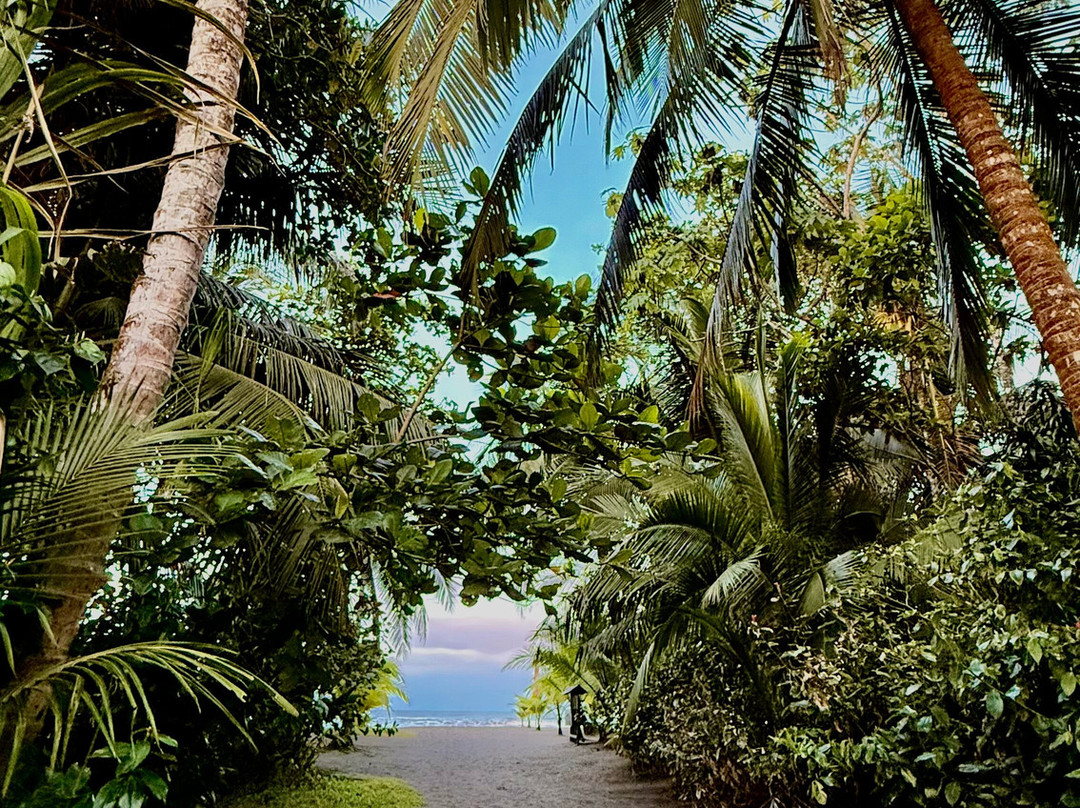 Best of Costa Rica DMC-圣何塞必去景点