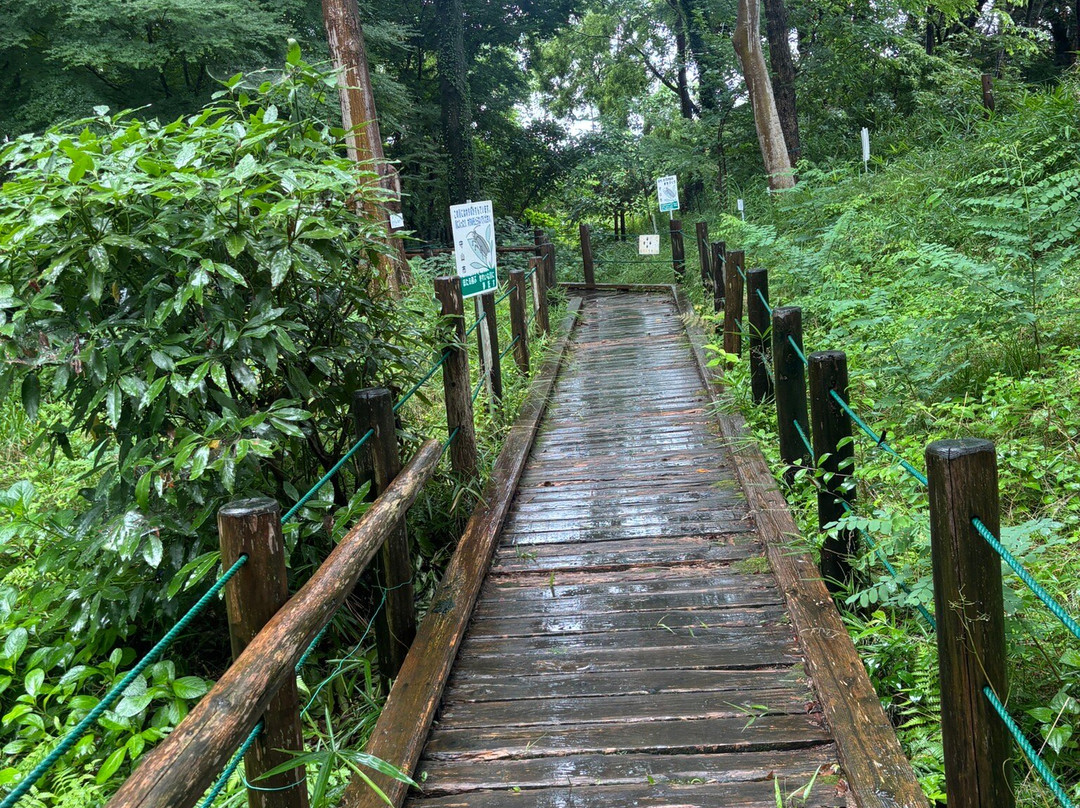 Moriyama Firefly Museum-守山市必去景点