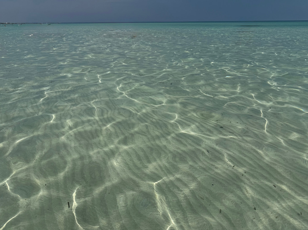 Spiaggia di Punta Prosciuto-Punta Prosciutto必去景点