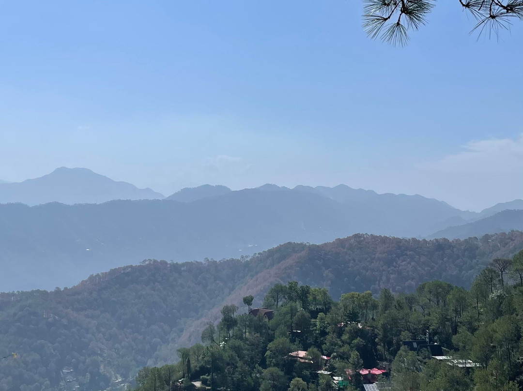 Kasauli Nature Walks With Vanita-Kasauli必去景点