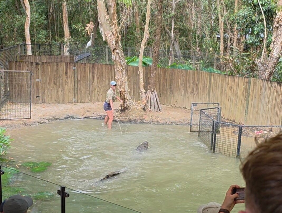 Hartley's Crocodile Adventures-Wangetti必去景点