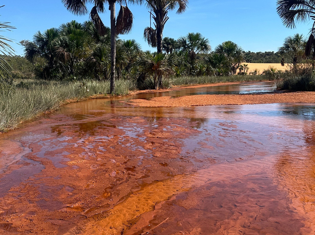 Praia Rica Ecoturismo - expedições personalizadas no Cerrado brasileiro-Palmas必去景点