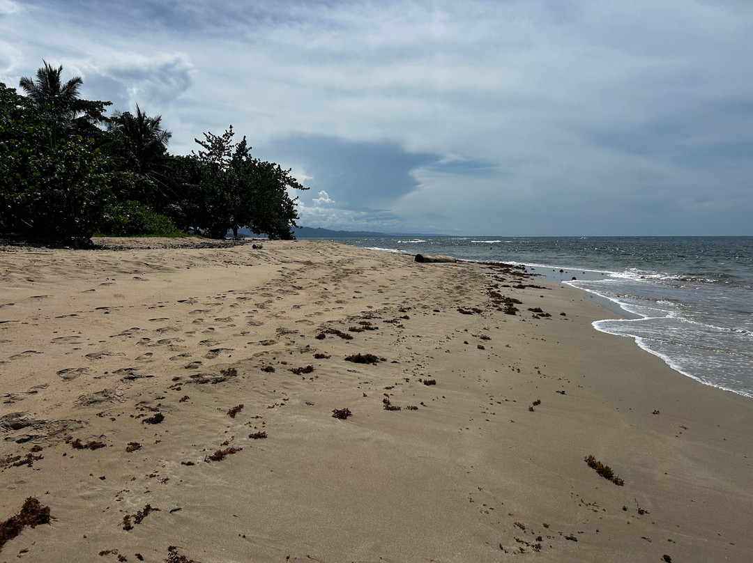 Playa Punta Uva-Punta Uva必去景点