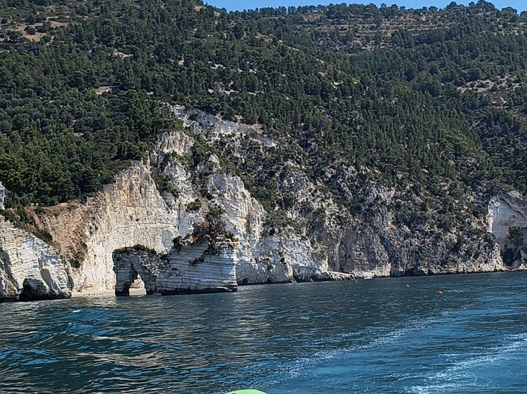 Costante Nicola Agenzia Tour Delle Grotte-佩斯基奇必去景点