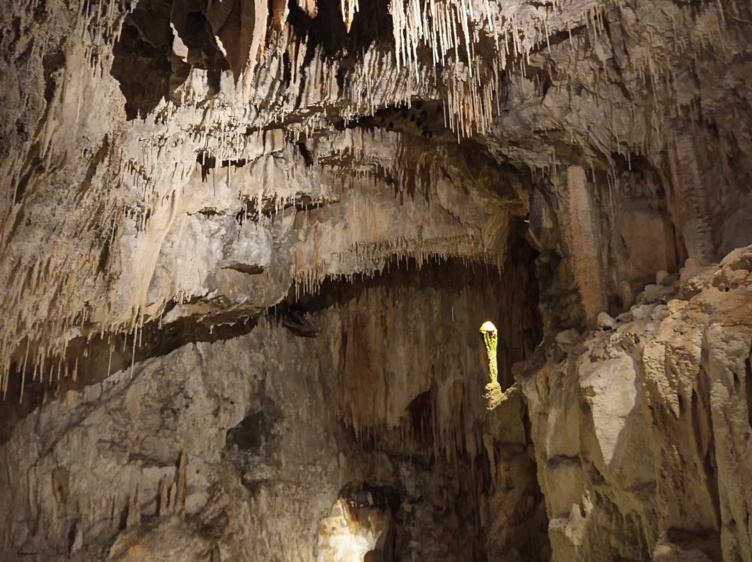 Fontaines Petrifiantes de Saint-Nectaire-Saint-Nectaire必去景点
