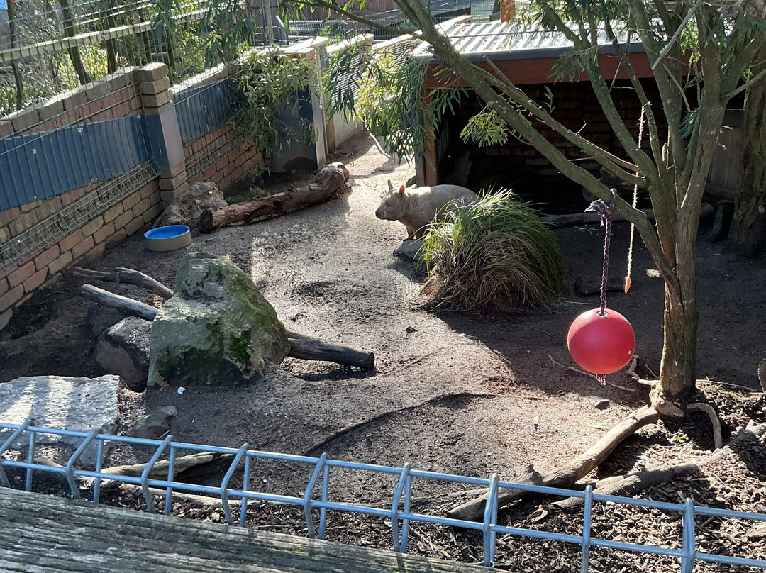 Ballarat Wildlife Park-巴拉瑞特必去景点