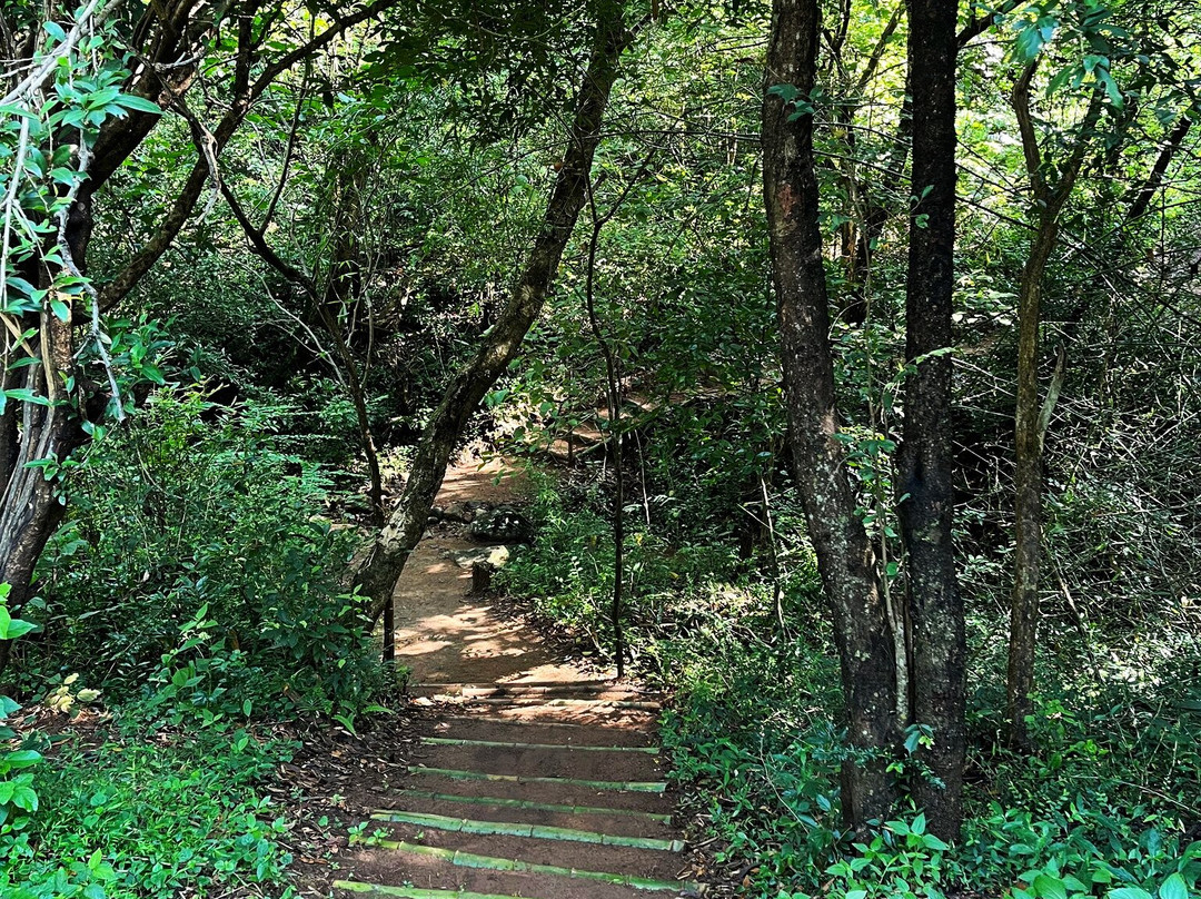 Osho Aranya Retreat Center-Naula必去景点