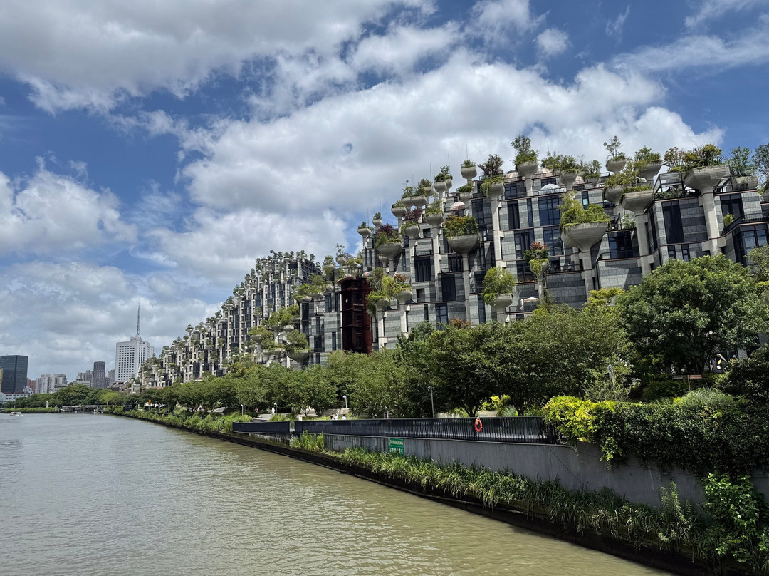 大洋晶典·天安千树