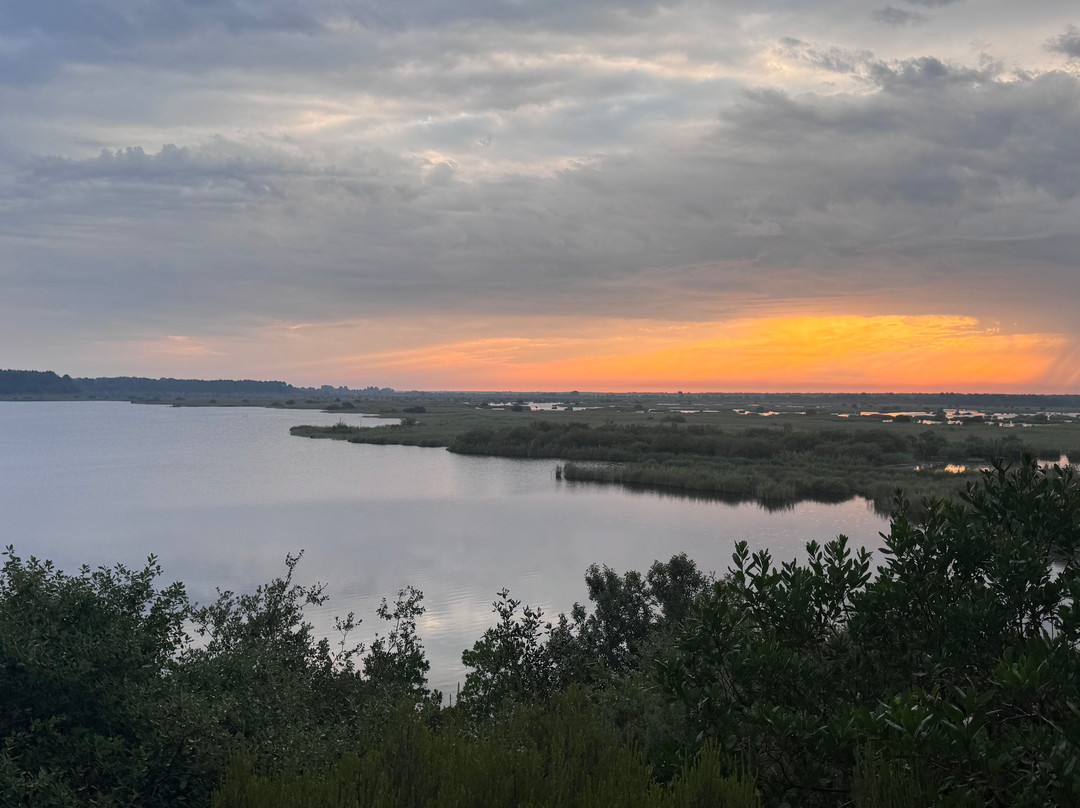 Réserve Naturelle De l'Etang De Cousseau-Lacanau-Ocean必去景点