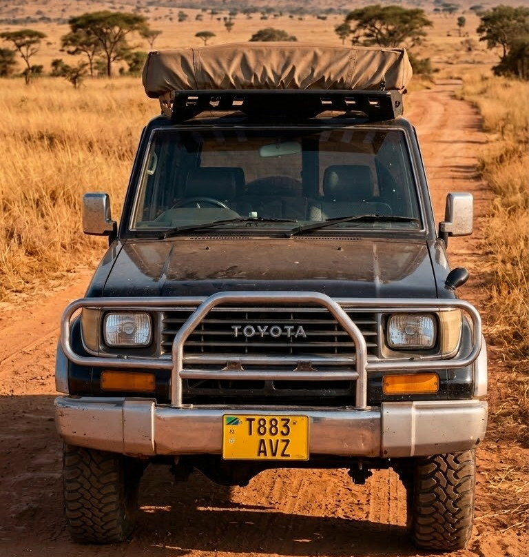Mikumi Car Rental Safaris-Dar es Salaam必去景点