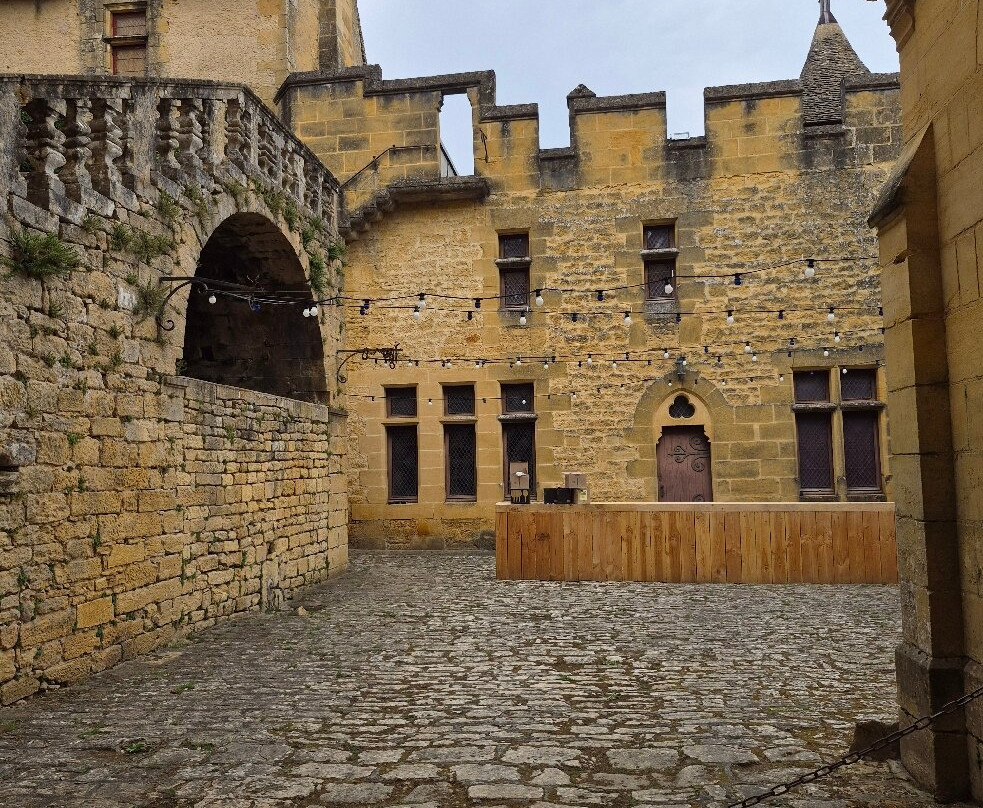 Chateau de Puymartin-萨尔拉必去景点