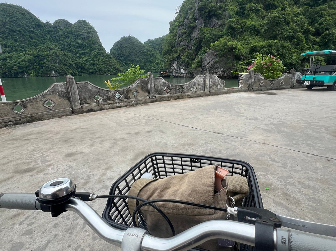 Cat Ba Smile Tours-卡巴必去景点