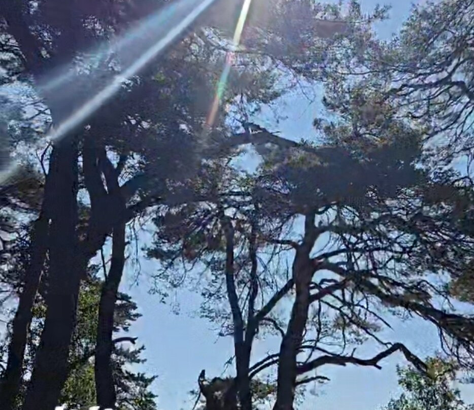 Balka Beach-巴尔卡必去景点