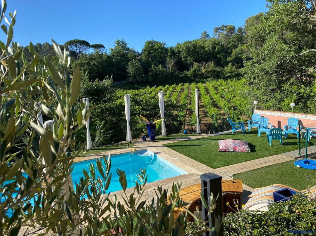 La Vie est Belle en Provence