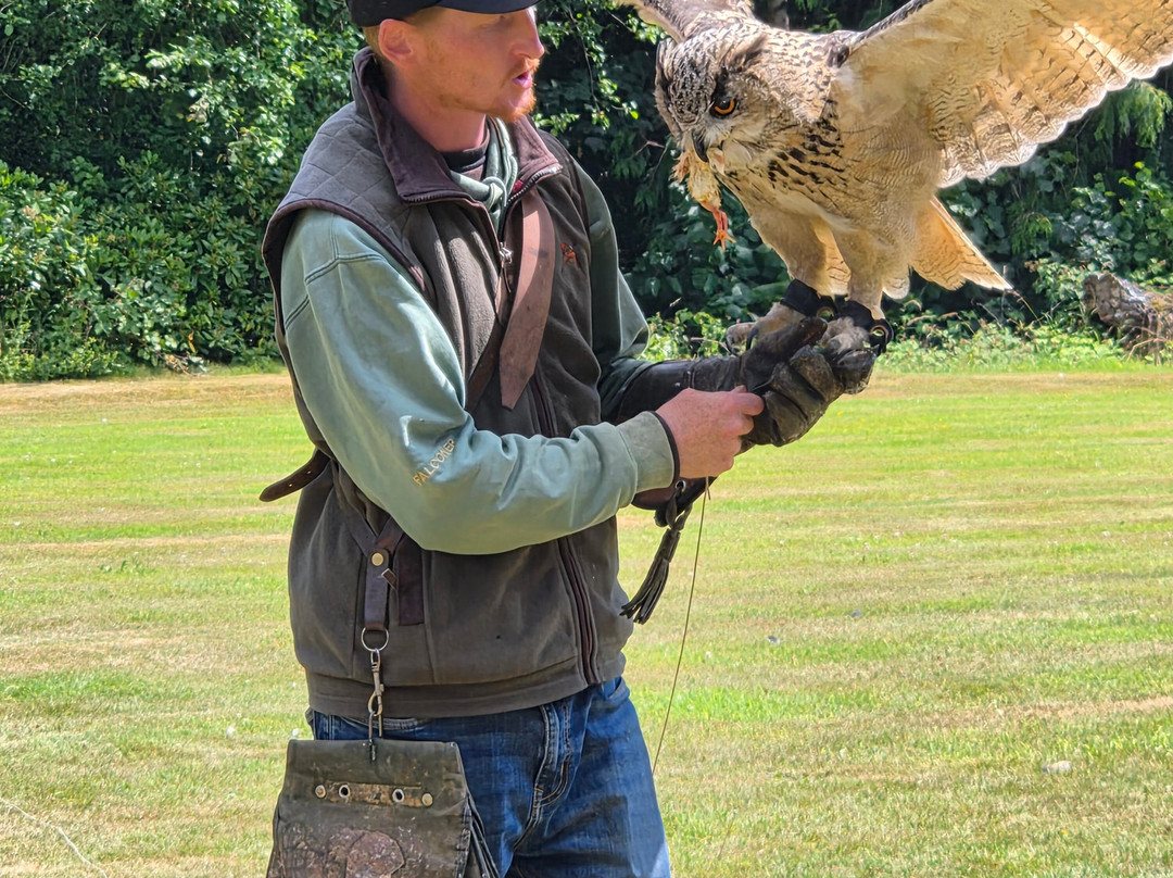 Dalhousie Castle Falconry-邦尼里格必去景点