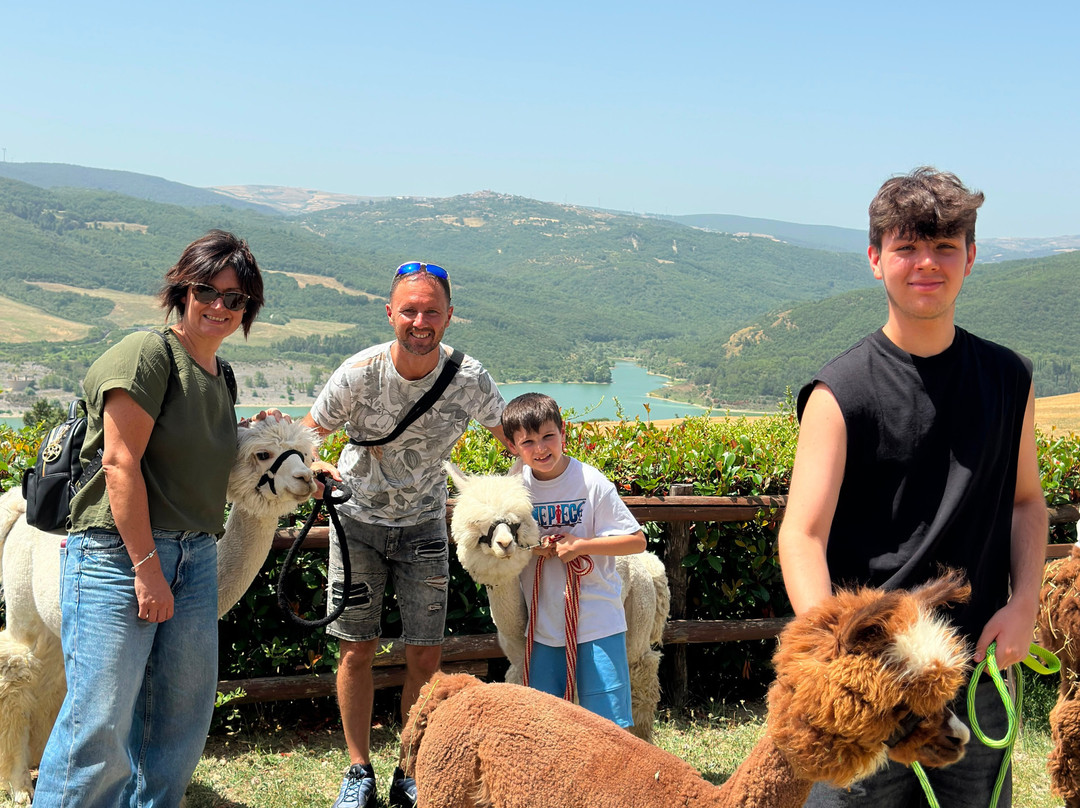 Basilicata Alpaca-Acerenza必去景点