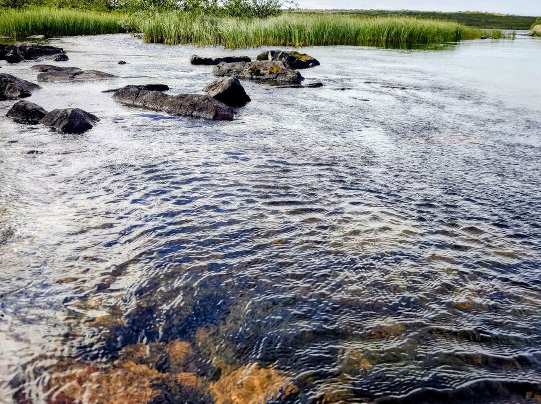 Fulufjällets National Park-Sarna必去景点
