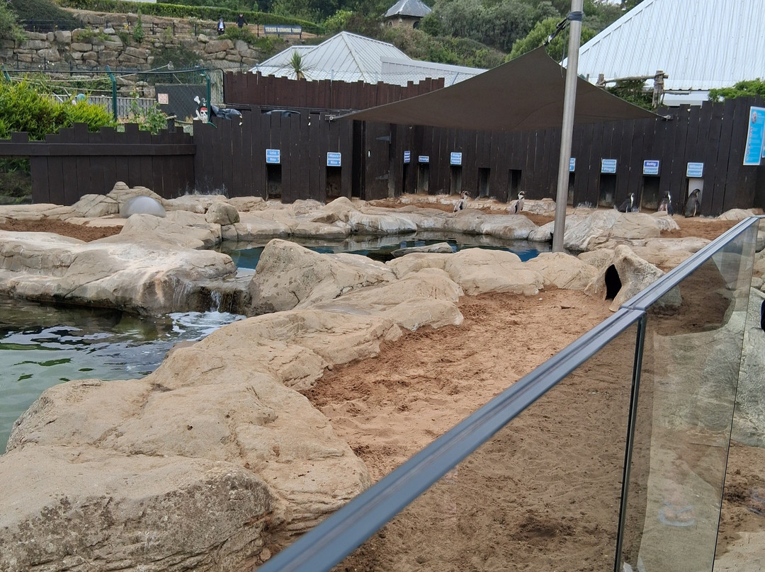 Sea Life Scarborough-斯卡伯勒必去景点